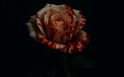 The Shadow: il primo horror romance che aspettavi senza saperlo